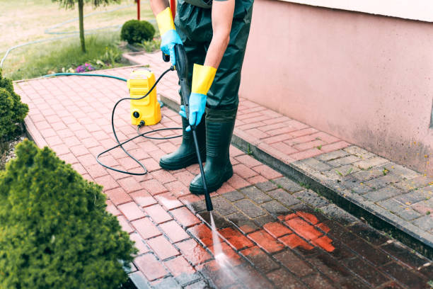 Best Soft Washing  in Ladera, CA